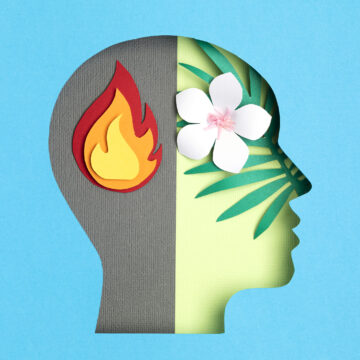 difference-between-eq-and-mq